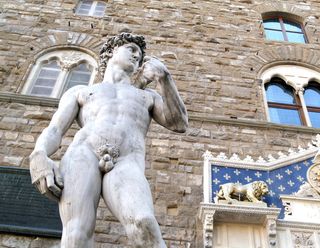 Michelangelo's David crotch shot