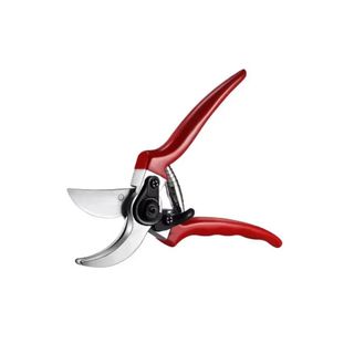 red metal pruning scissors