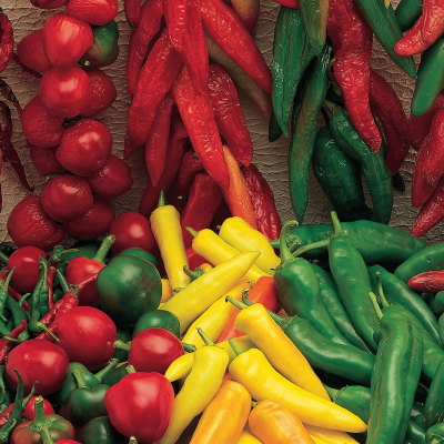 Salsa Blend Hot Pepper Seeds