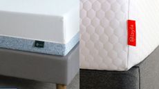 A split screen of the Zinus Green Tea vs the Layla Essential Mattress