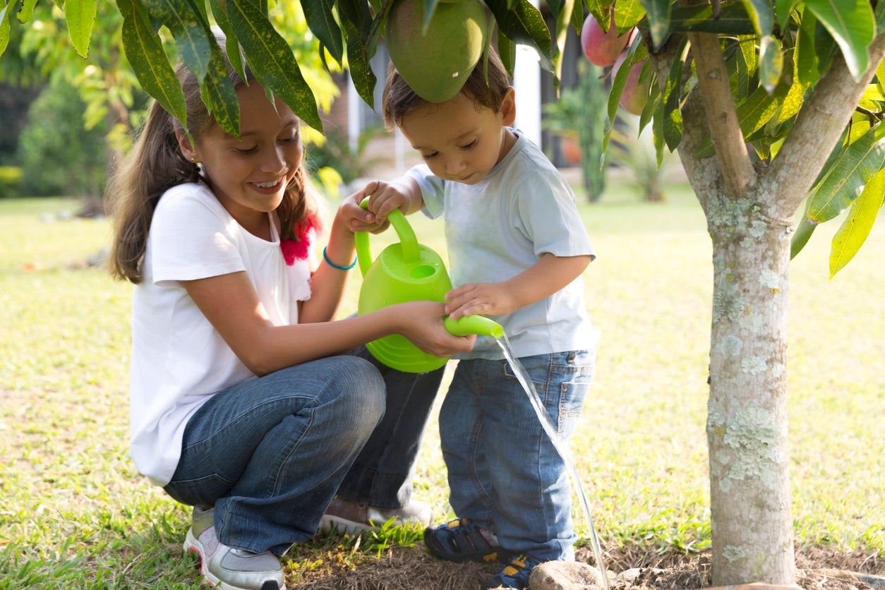 Two Kids Watering A Tree