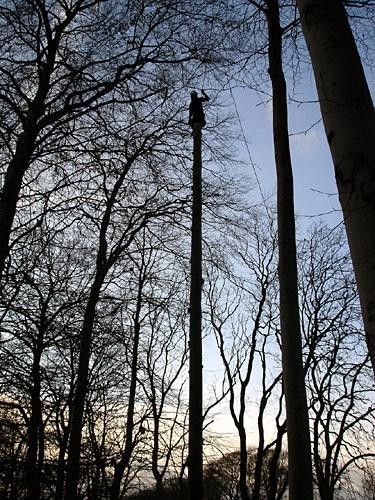 The pole