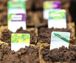 Small plant markers for parsley and cucumber