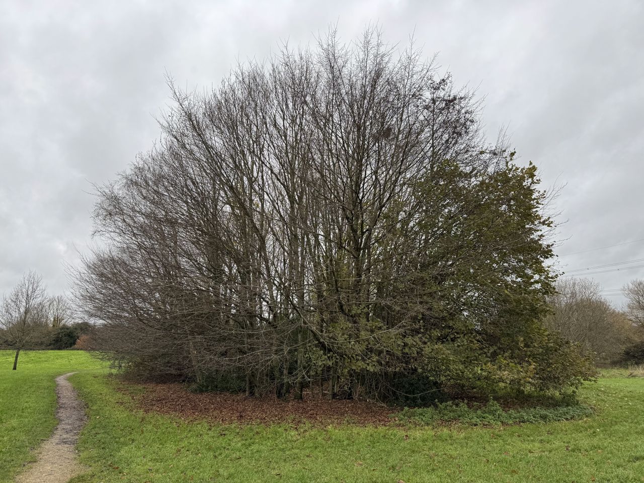 iphone 15 pro max example camera shots
