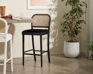 Raleigh Bar Stool in black next to plant
