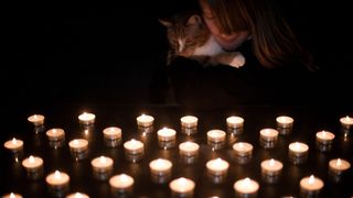 Cat and human look at tealights
