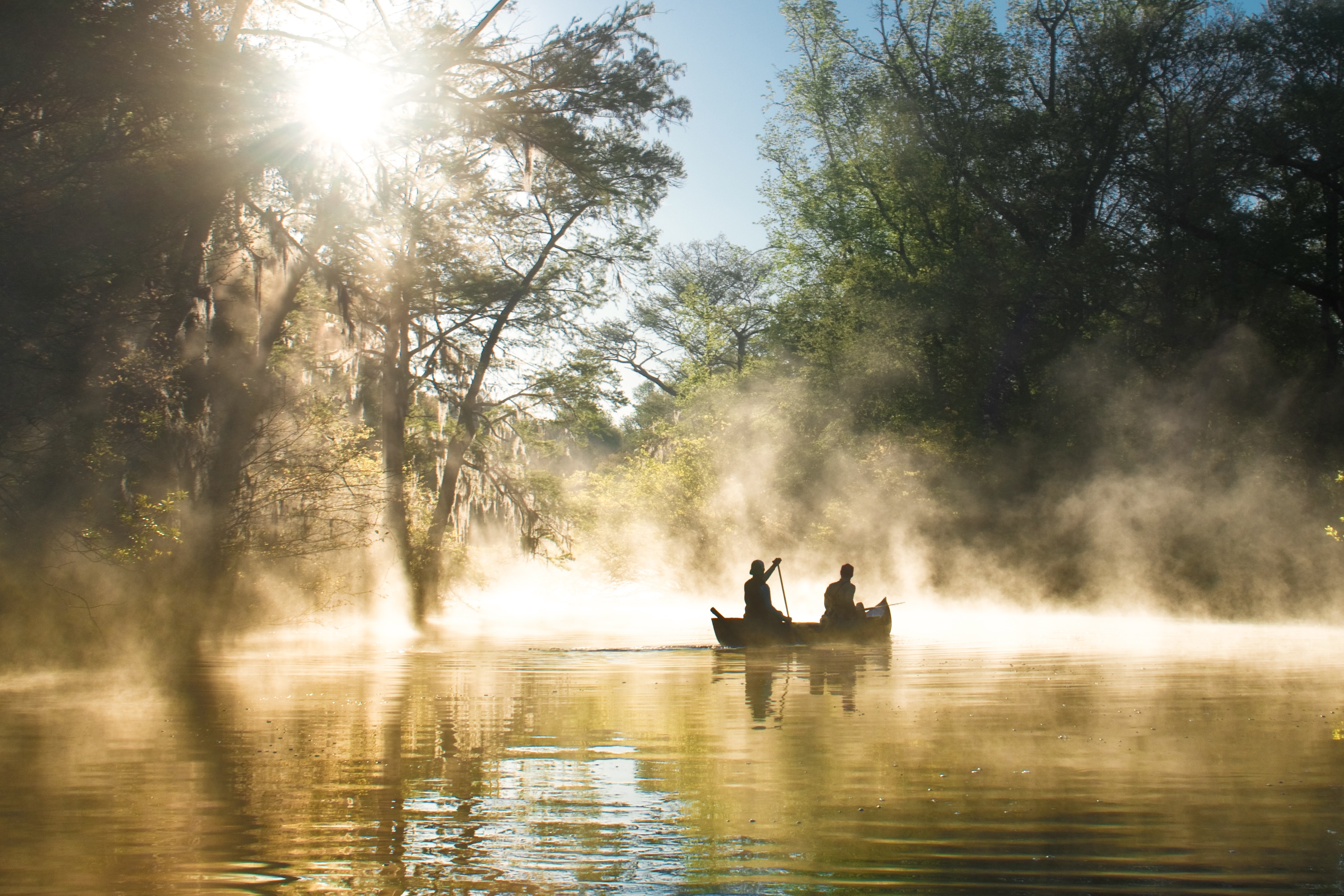 a picture of the Everglades National Park