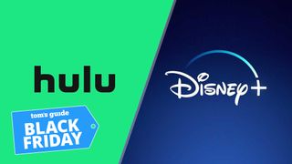 (L to R) The Hulu, Disney Plus logos with a Black Friday badge