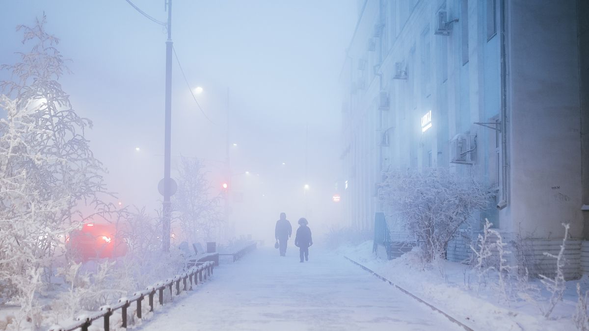 two people walking along a snow-covered street with frozen trees and icy fog surrounding them