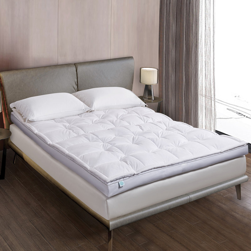 Martha Stewart 3'' Down Mattress Topper & Reviews | Wayfair