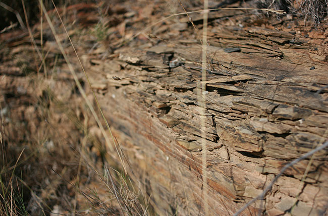schist vineyard, terroir