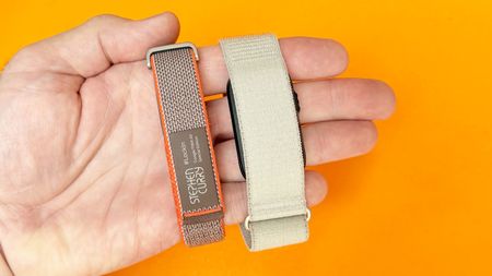 Close-up of the Fitbit Air next to the Garmin Cirqa