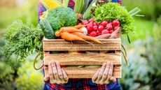 person holding wooden box of harvested vegetables