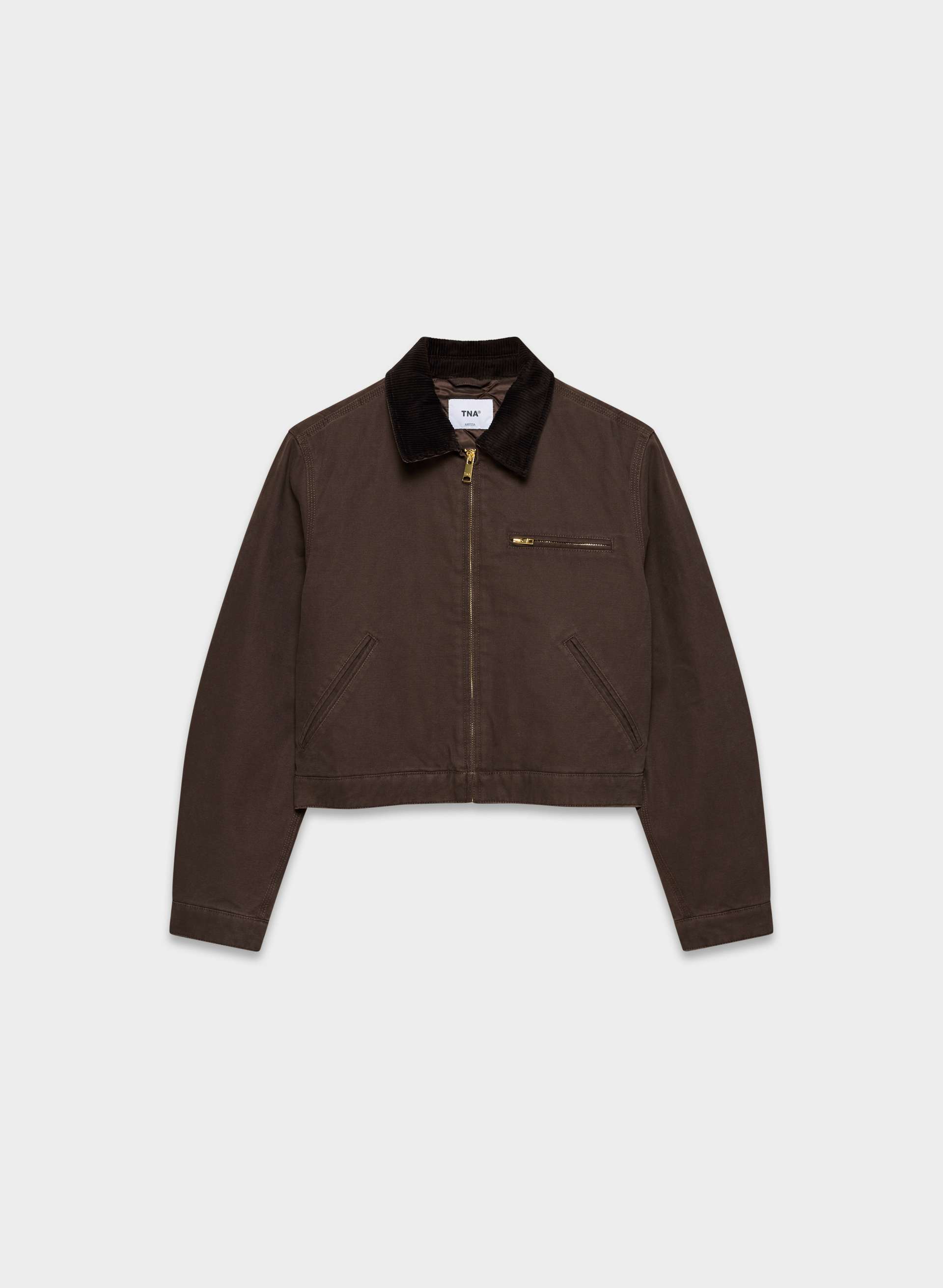 aritzia, 