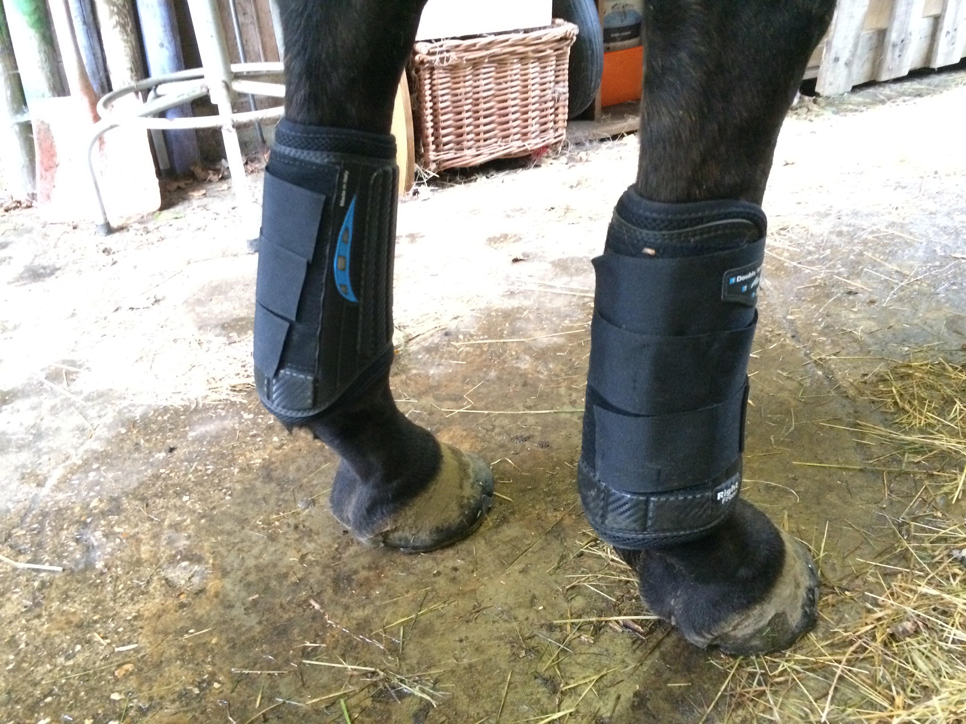 Front boots