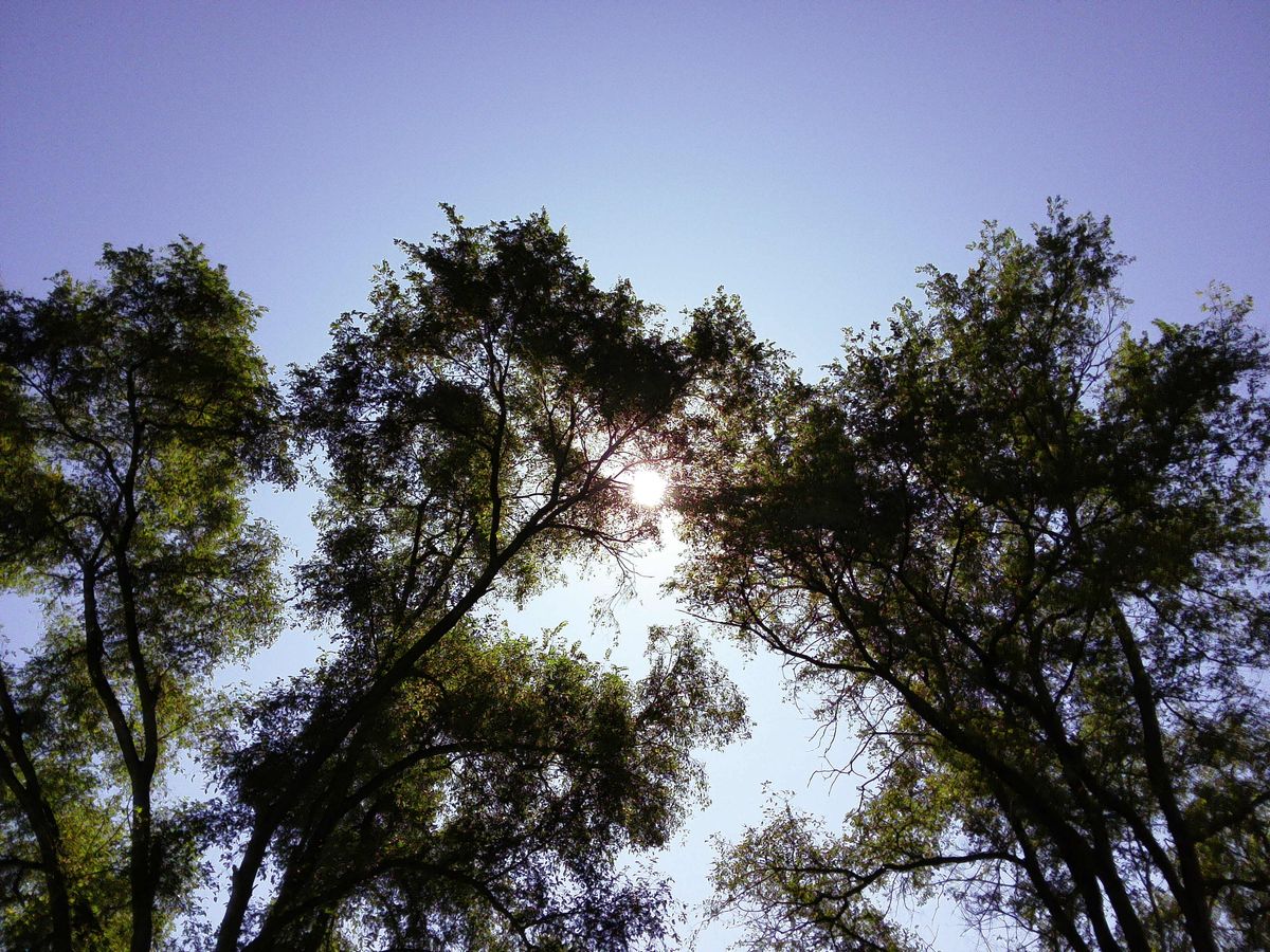 Image sample from the Instax Pal 2