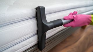 A person wearing pink rubber gloves vacuums the side of a mattress while deep cleaning it