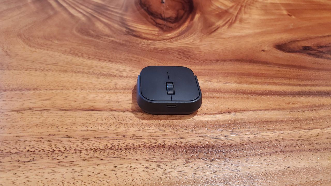 adaptive mouse
