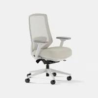 Branch Ergonomic Chair Pro: was $499 now $424 @ Branch