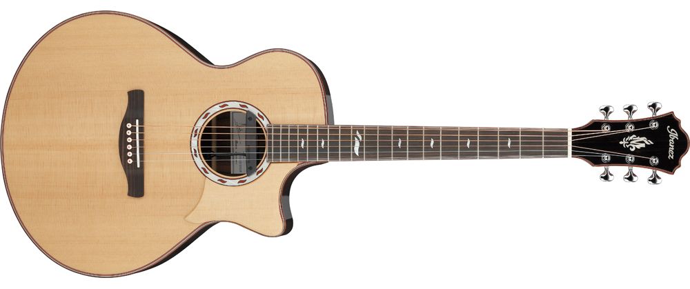 Ibanez MRC10 guitar