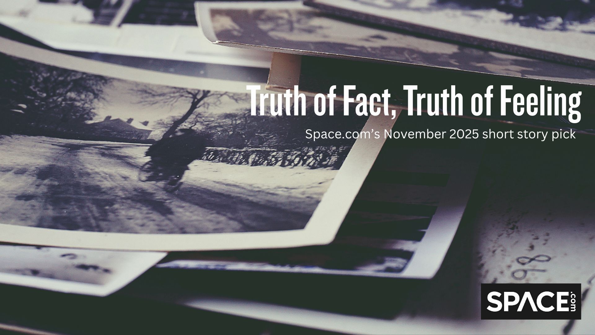 A series of photographs with white writing saying 'Truth of Fact, Truth of Feeling' by Ted Chiang on the top