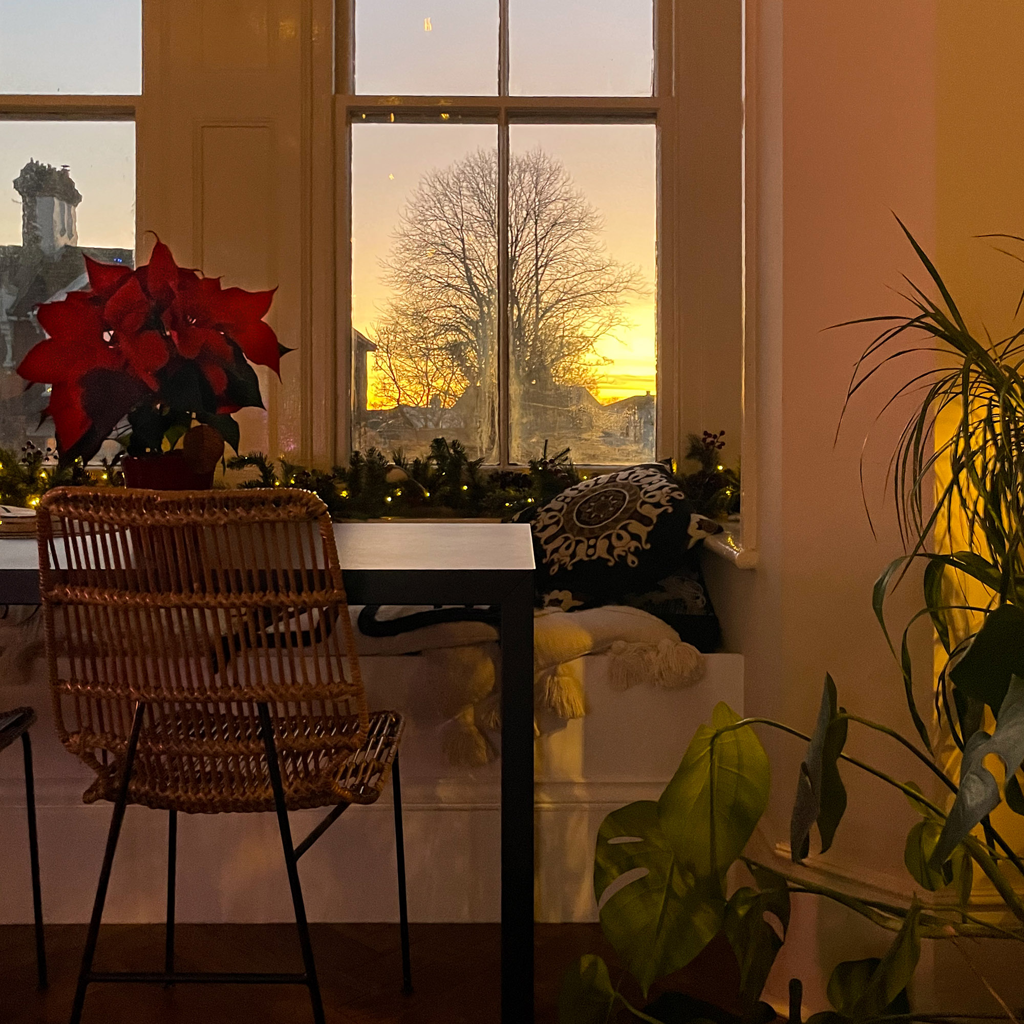 table with a poinsettia on it looking out to a wintry scene beyond the window