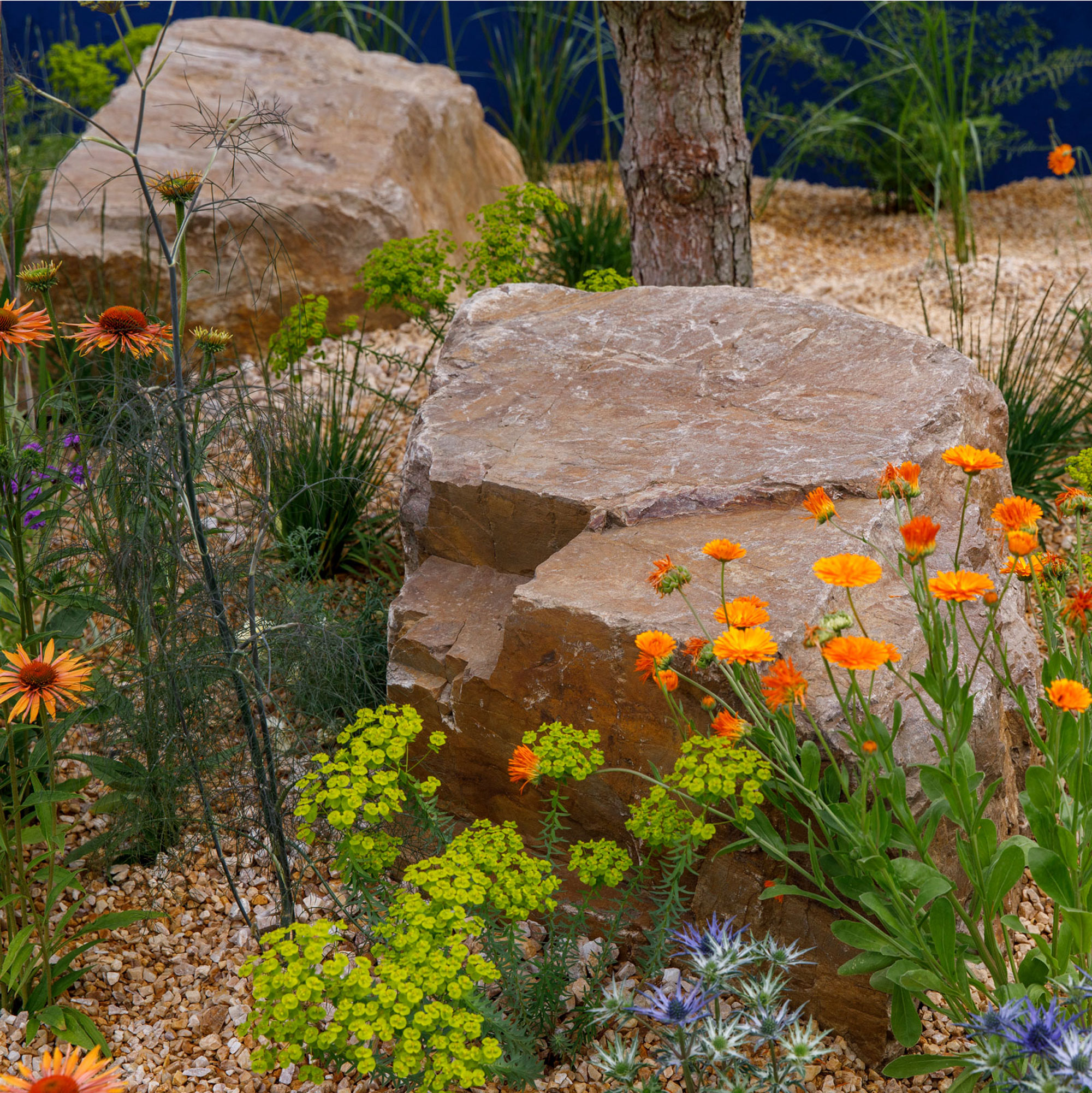 dry garden design