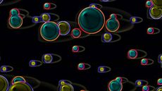 Exotic particles stick to all surfaces in the superfluid, shielding it from interacting with the bulk superfluid.