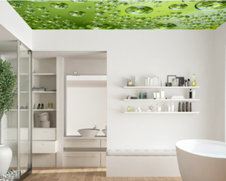 bathroom with green ceiling mural and white walls and fixtures