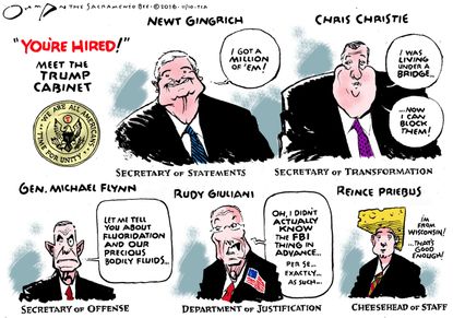 Political cartoon U.S. Donald Trump cabinet choices
