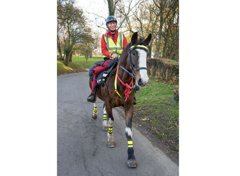William and Strider covered 2,600 miles