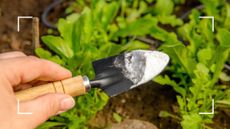 picture of person holding small spade with mound of baking soda on it