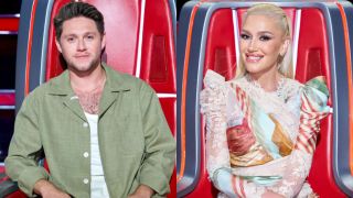 Niall Horan and Gwen Stefani on The Voice.