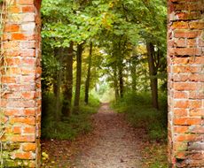 Woodland garden seen through a wall opening