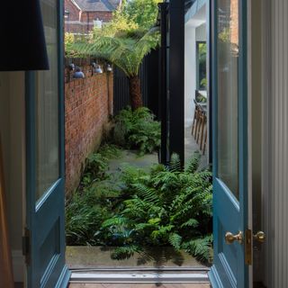 Side return garden area filled with tropical planting