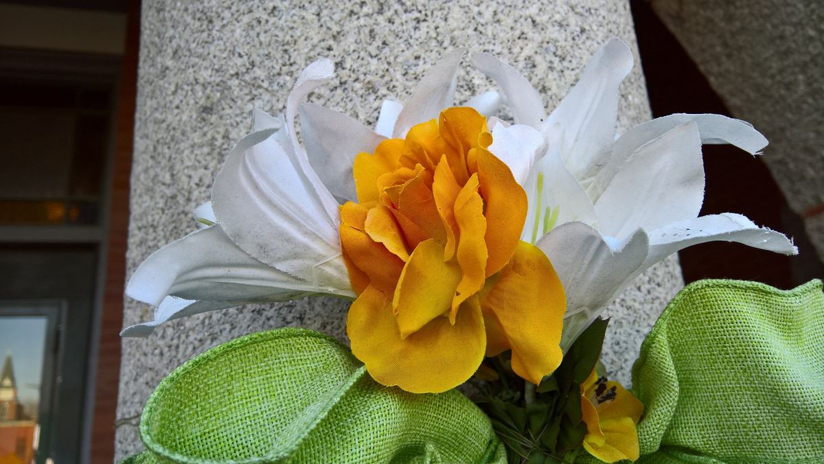 Lumia 950 Camera sample