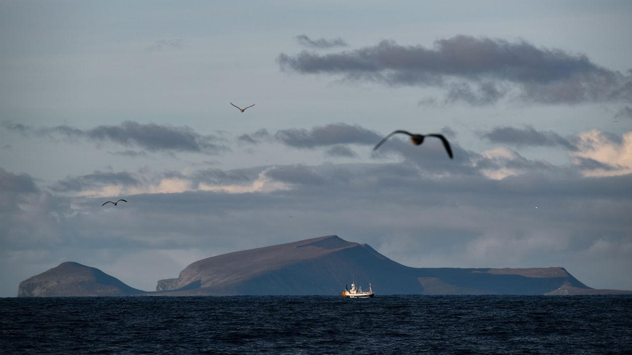 Shetland