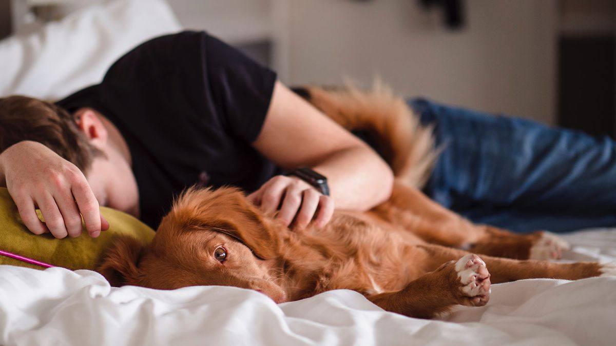 Man asleep on a sofa with a dog