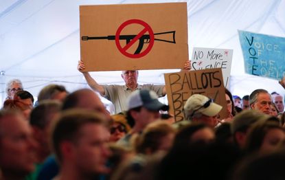 Sandy Hook gun control protests.