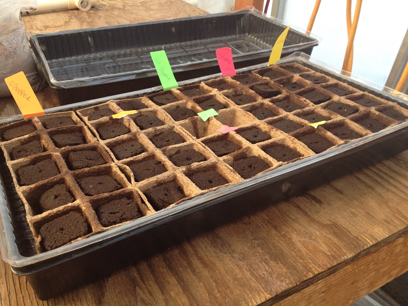 Agriculture at Utah Mars Desert Research Station