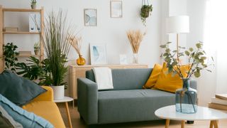 Green sofa in the middle of a small living room