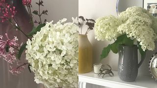 Tow images of hydrangeas in vases