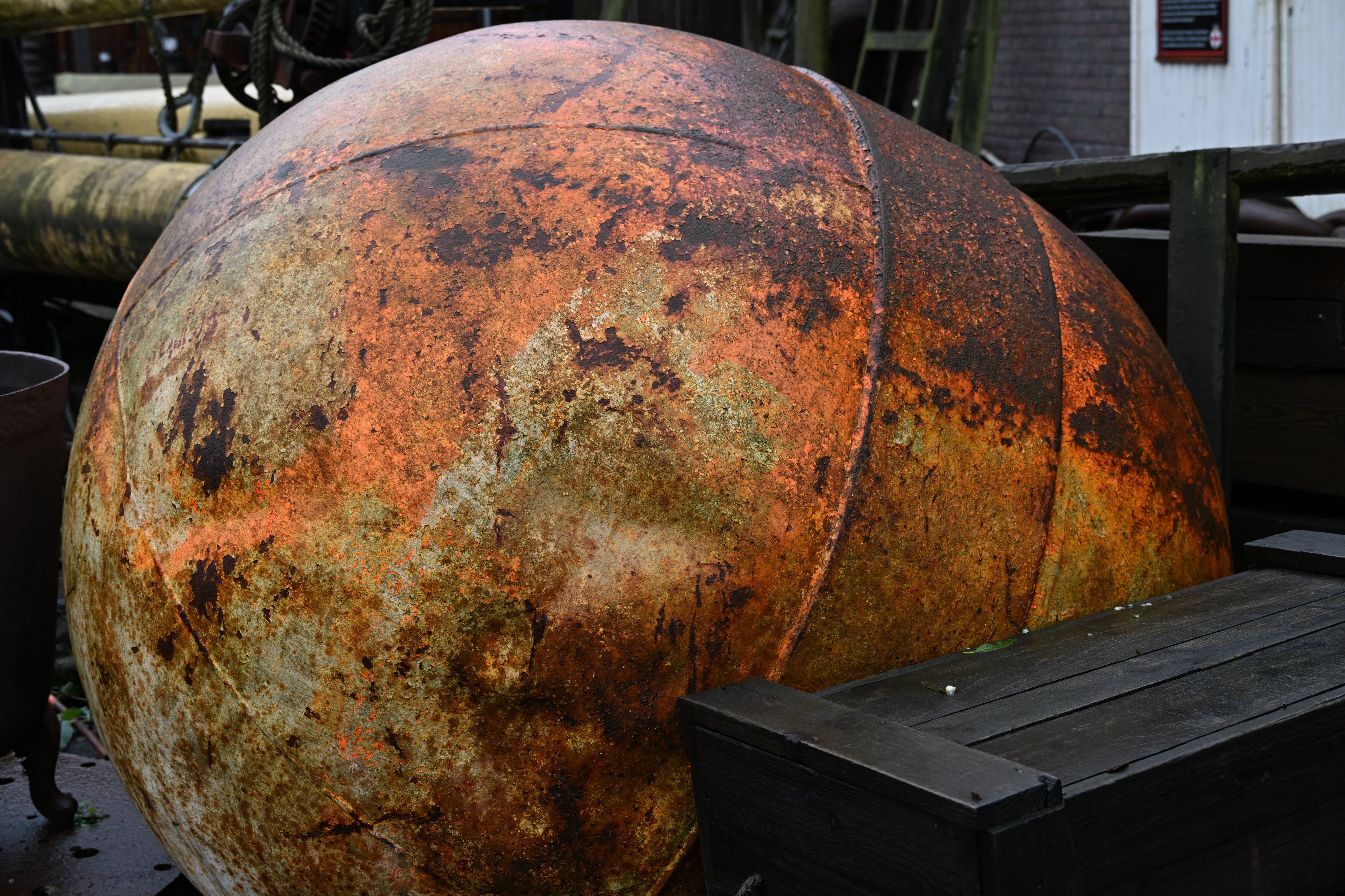 Nikon Z 24-105mm f/4-7.1 sample shot