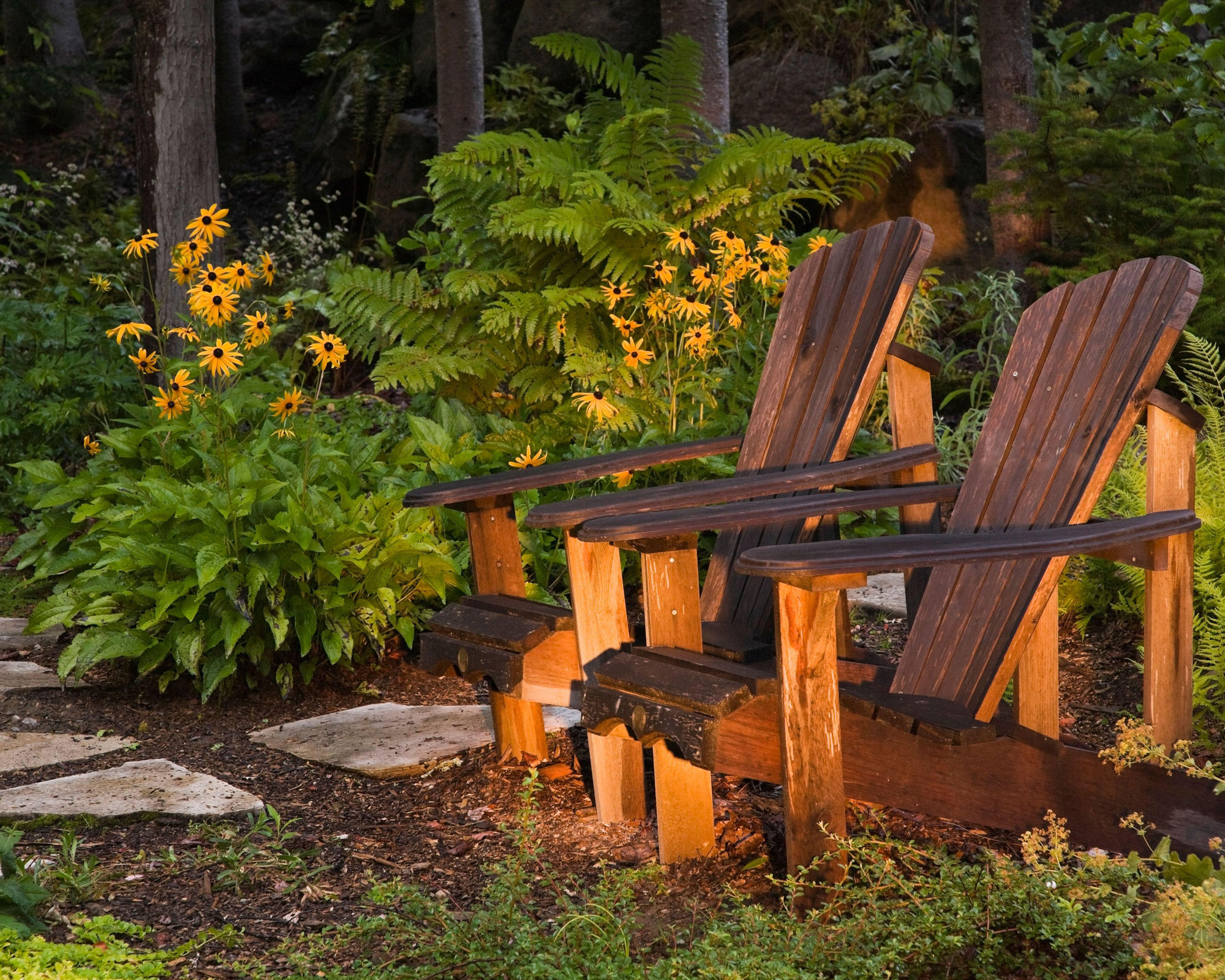 adirondack chairs with lighting, orange rudbeckia flowers and trees in the background