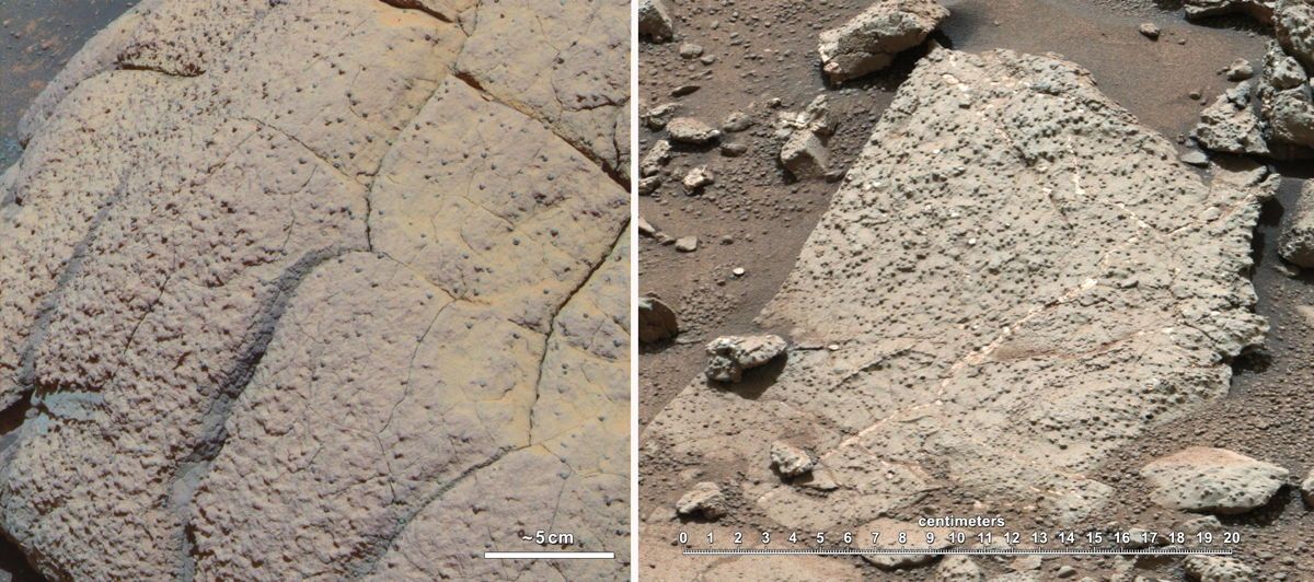 Two Different Aqueous Environments