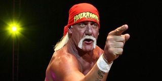 Hulk Hogan Terry Bollea WWE