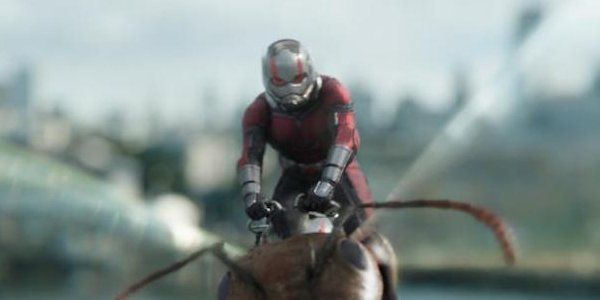 Ant Man Scott Lang Ant-tonio Banderas