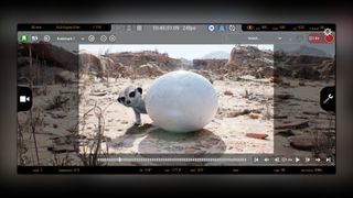 Unreal Engine 5.4 features; an animal with a rock
