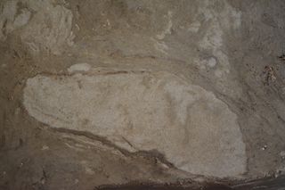 An ancient human footprint.