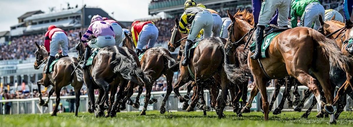 Aintree Grand National Horses